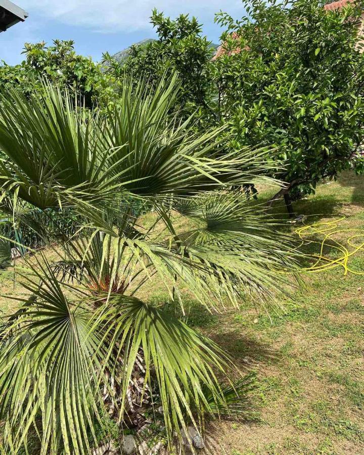Apartmani Zelenika Herceg Novi Extérieur photo