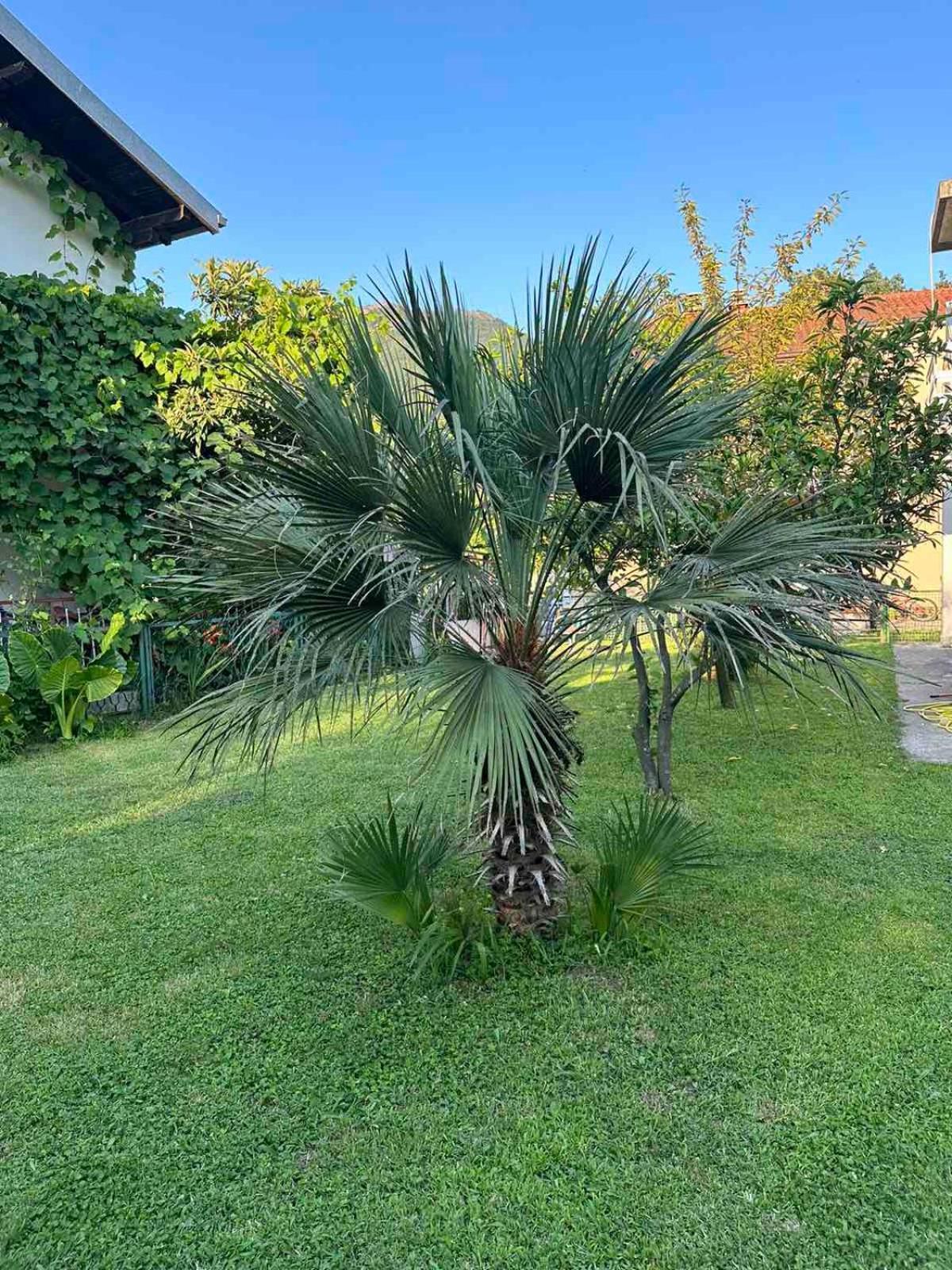Apartmani Zelenika Herceg Novi Extérieur photo
