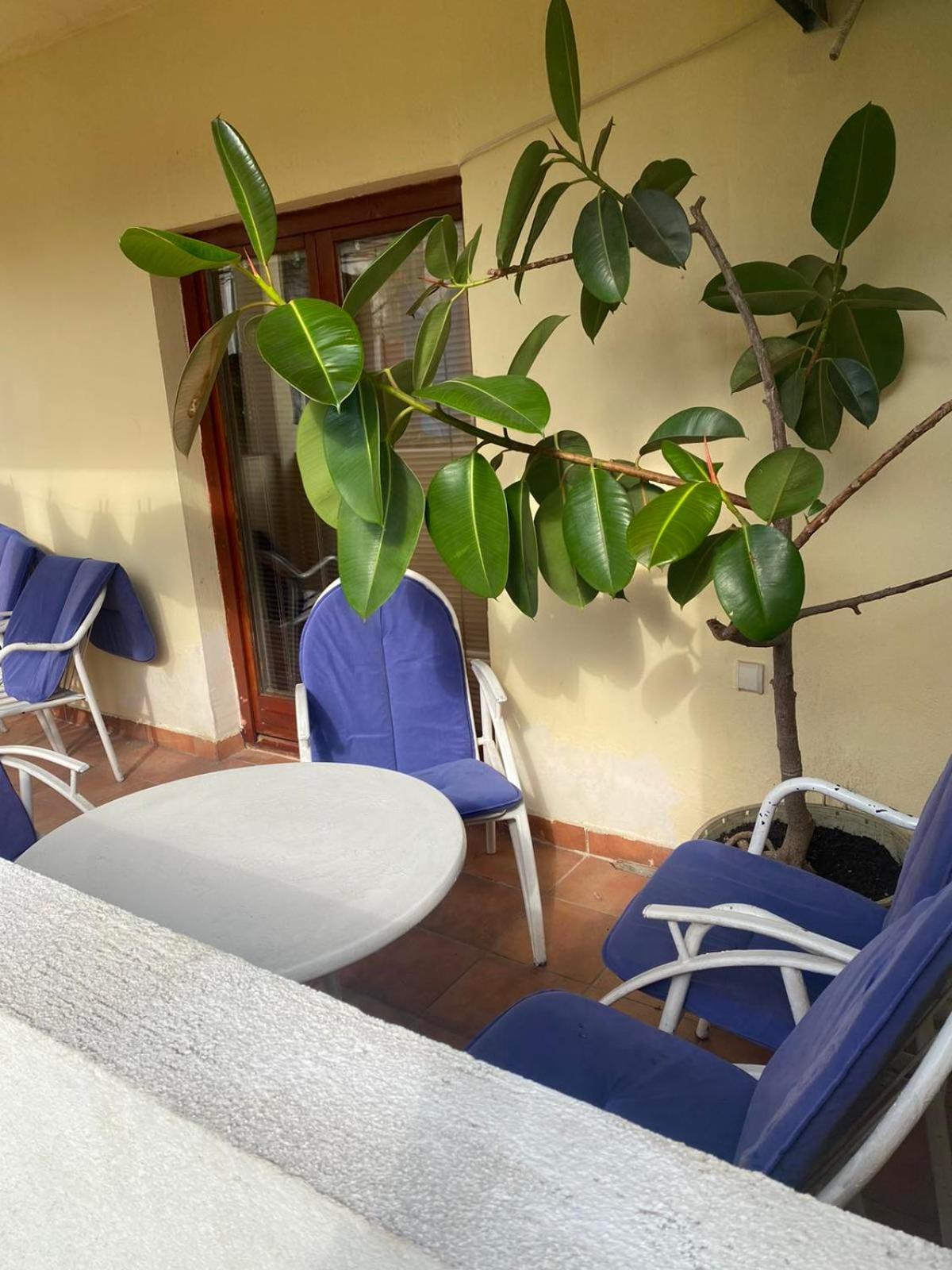 Apartmani Zelenika Herceg Novi Chambre photo
