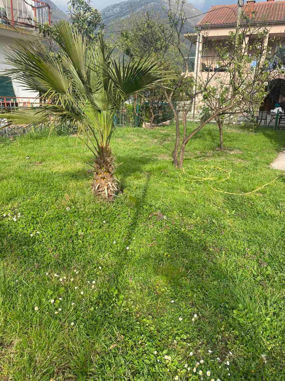 Apartmani Zelenika Herceg Novi Chambre photo